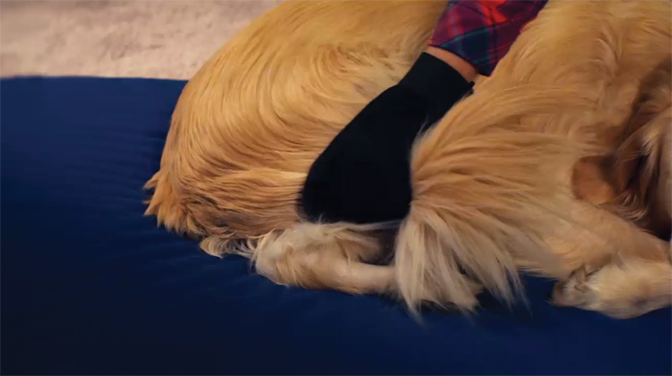 True touch pet glove australia hot sale